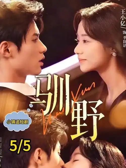 漫长的回声年代剧全集免费观看